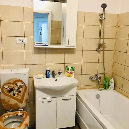 Apartment Joy Ionel Perlea 19