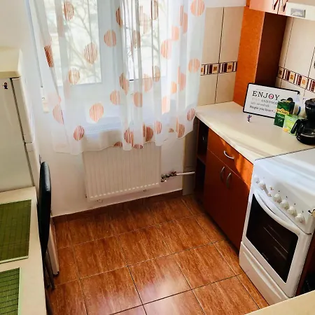 Apartment Joy Ionel Perlea 19 *